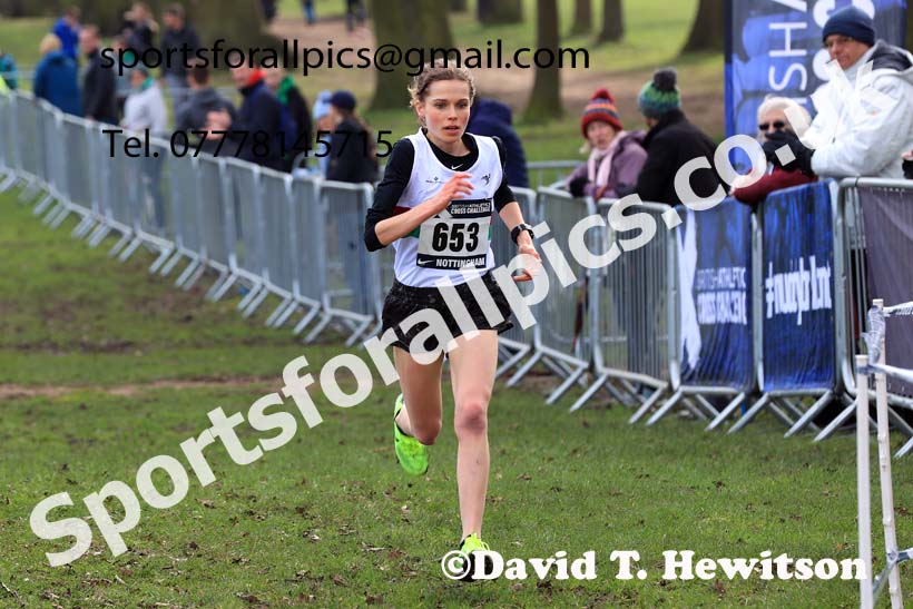 Senior Women, 2024 CAU Inter Counties Cross Country Champs., Wollaton Park, Nottingham. Photo: David T. Hewitson/Sports for All Pics